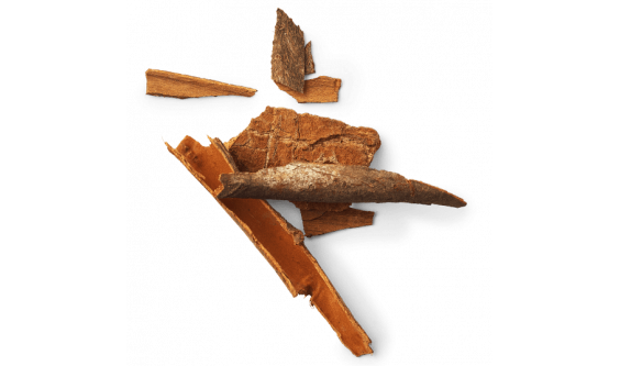 La Cannelle
