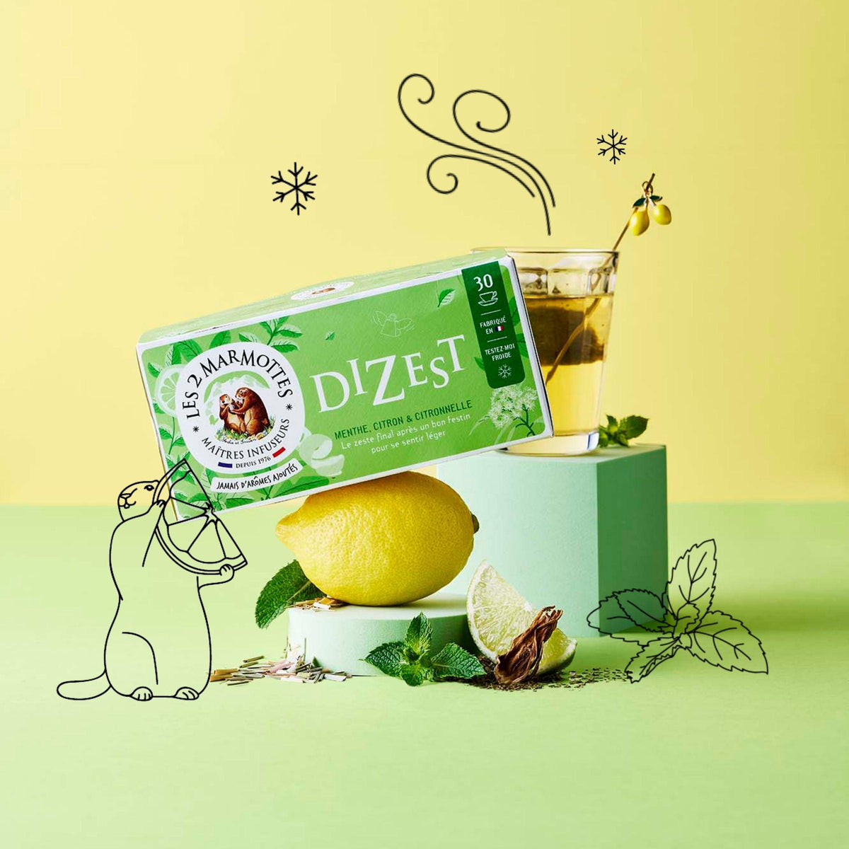 Infusion Dizest