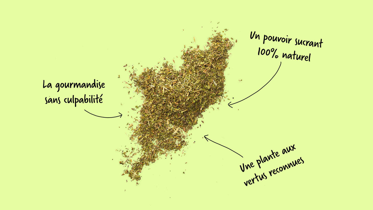 La stévia séchée a un pouvoir sucrant naturel
