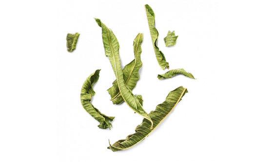 La Verveine