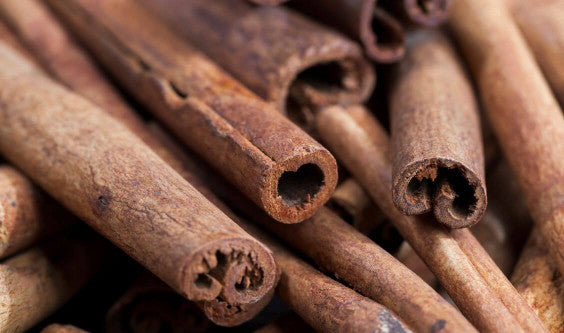Tout savoir sur la cannelle