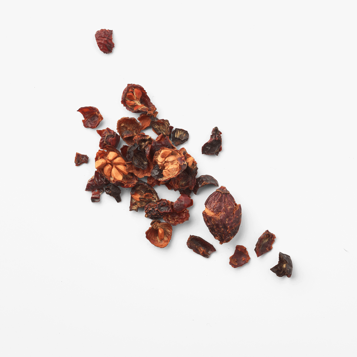 Cynorrhodon