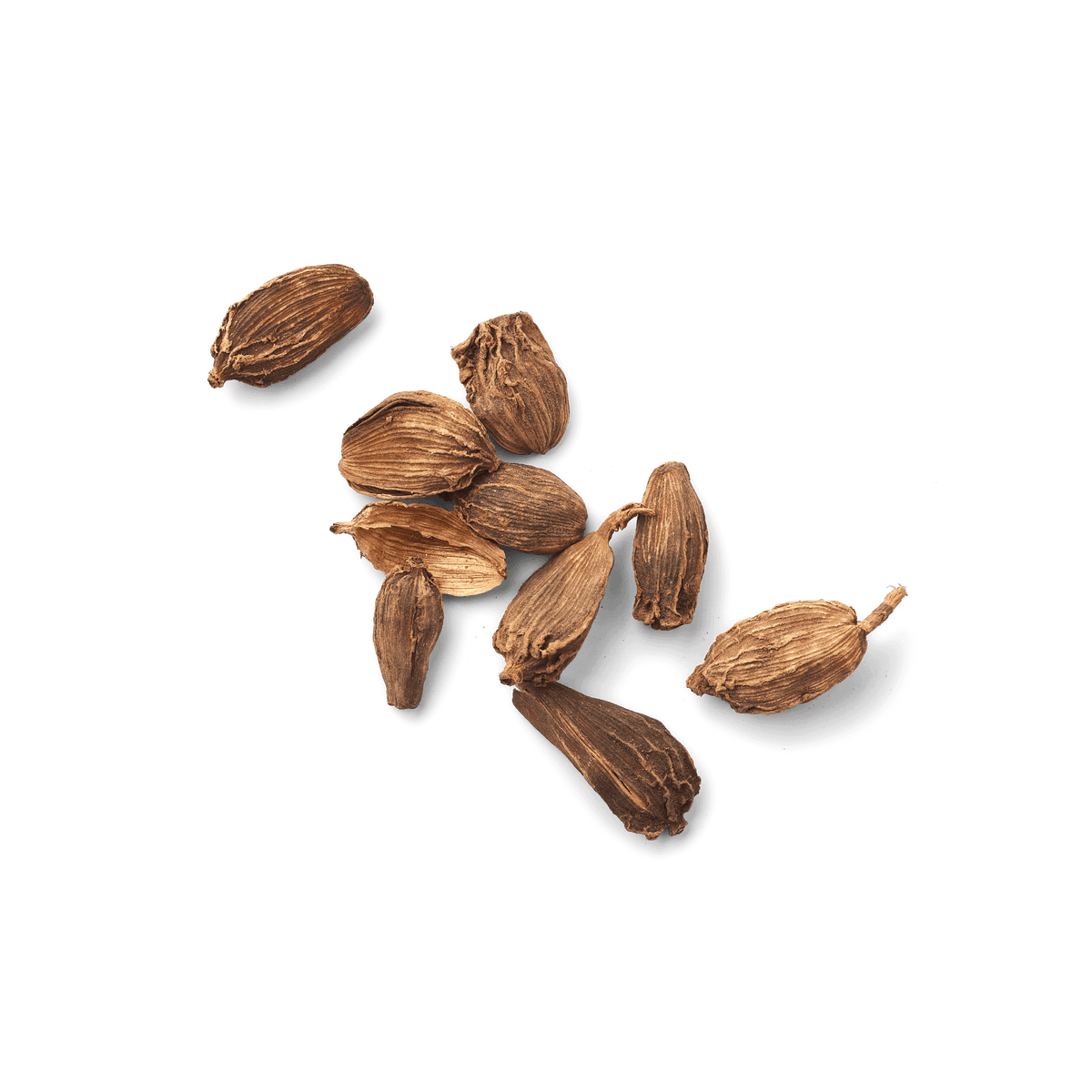 Cardamome