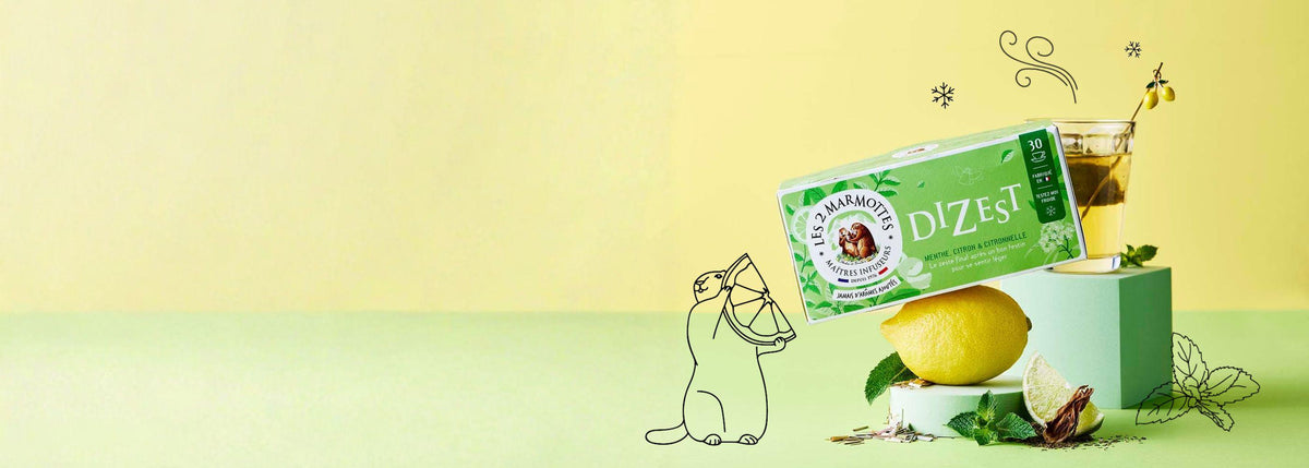 Dizest, tisane menthe citron fraîcheur après-repas