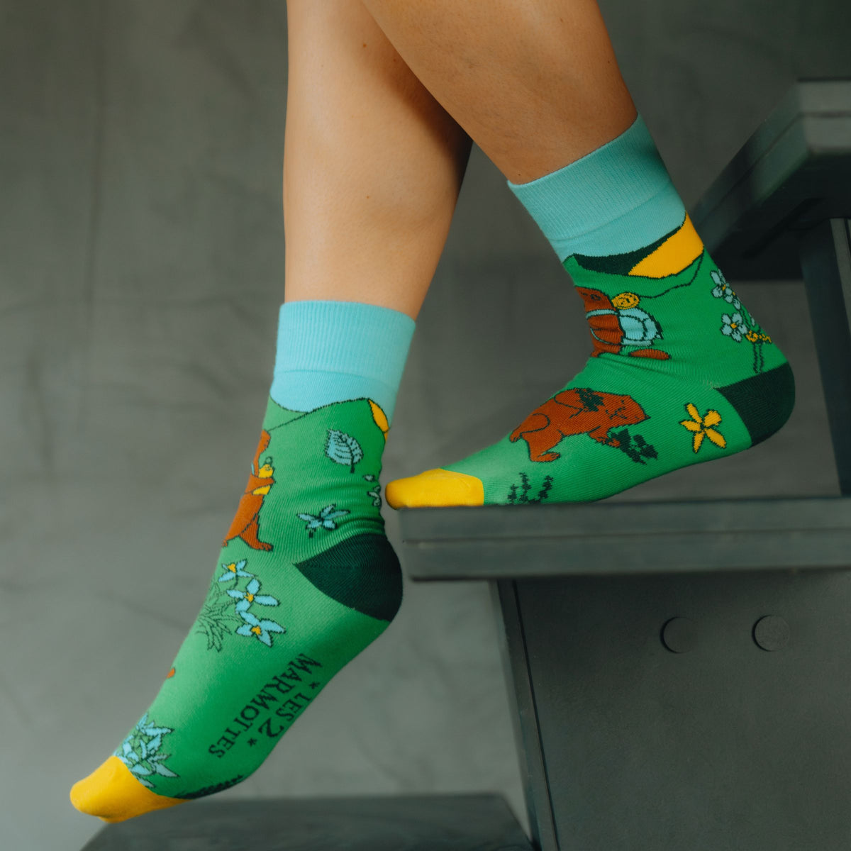 Chaussettes vertes décor marmottes à la montagne, chaussettes taille unique Les 2 Marmottes